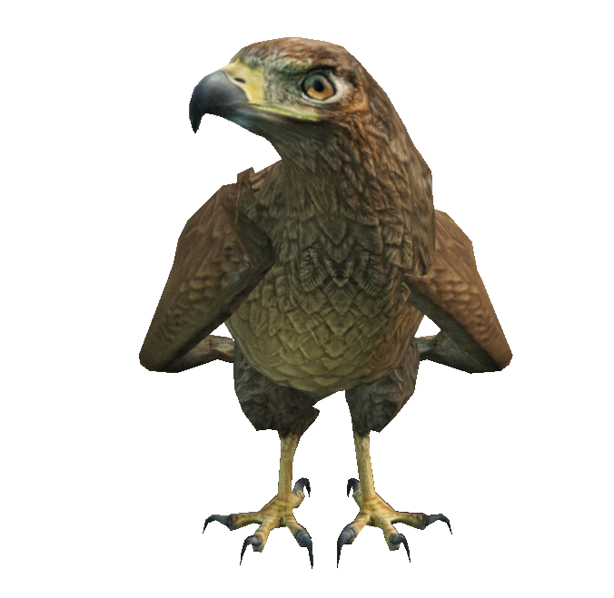 a_c_chickenhawk