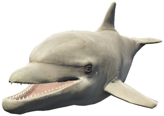 a_c_dolphin