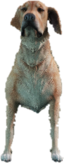 a_c_retriever