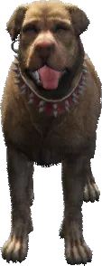a_c_rottweiler_02