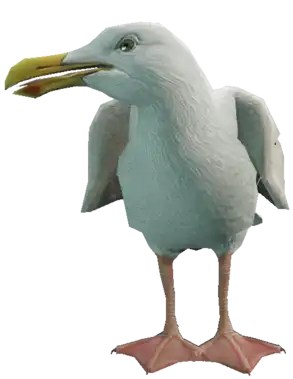 a_c_seagull