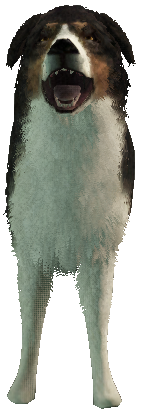 a_c_shepherd