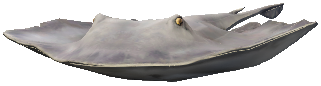 a_c_stingray
