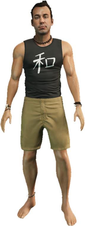 cs_fabien